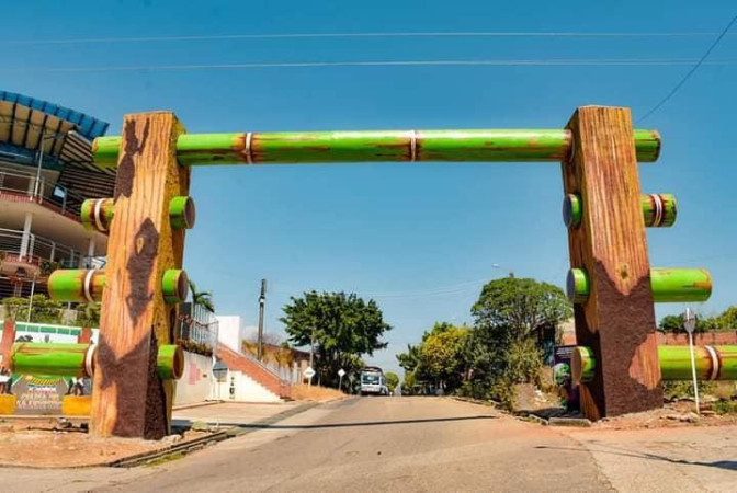 tame-arauca.jpeg