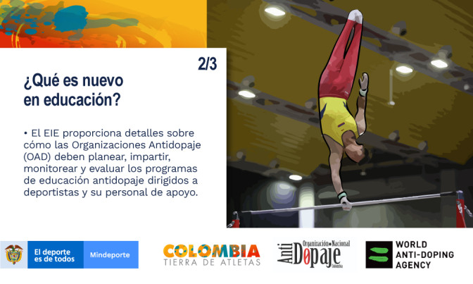 que-es-nuevo-en-educacion-educacion-dirigidos-a-deportistas.jpg