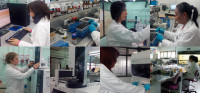 ima-laboratorio.jpg ima-laboratorio.jpg