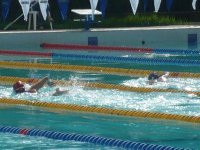 P1000236-1.jpg