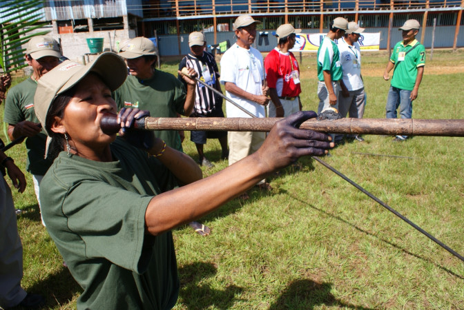 noticia-2014-11-11-cerbatana.jpg