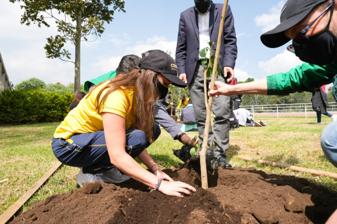 los-atletas-colombianos-plantan-arboles-en-el-car.jpg