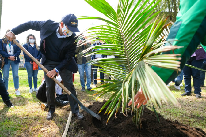 plantacion-de-arboles-en-el-car.jpg