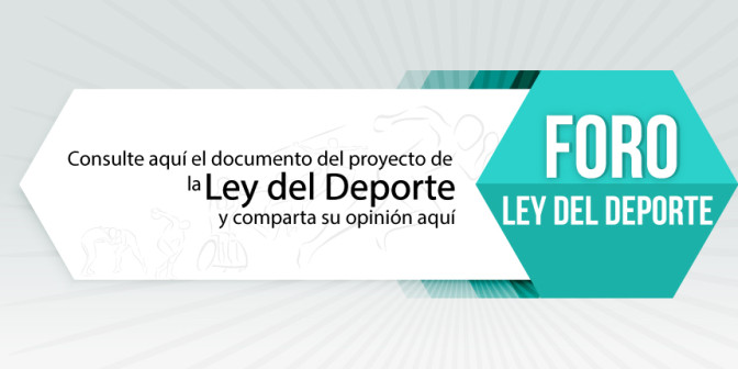 BANNER-FORO-LEY.jpg