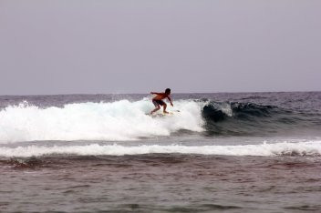 Surf-1.jpg