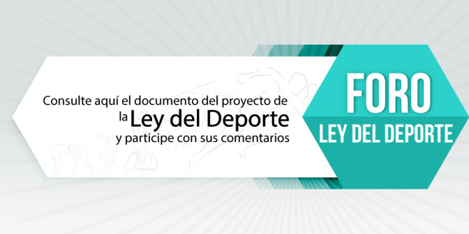 BANNER-FORO-LEY-1.jpg